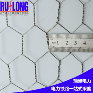 RL-FNW2不銹鋼防鳥網(wǎng)